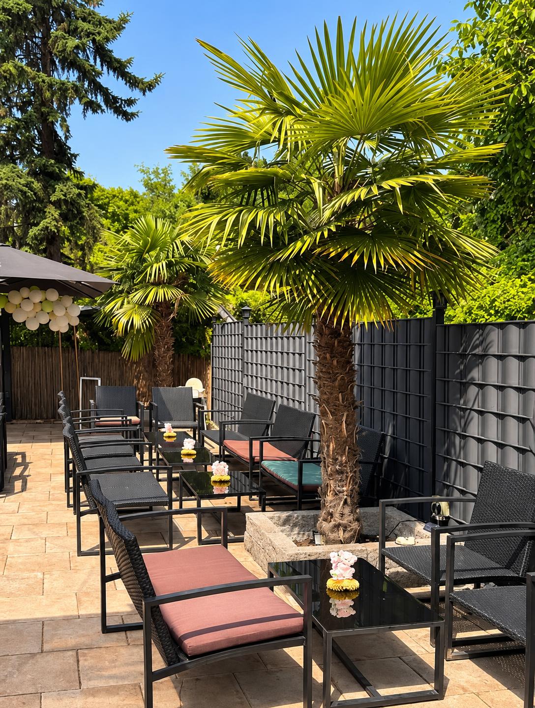 Unsere sonnige Terrasse mit Palmen und Sitzplätzen im Grünen